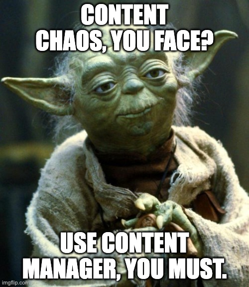 Yoda meme.jpg