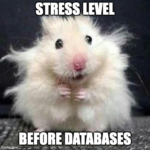 stress level before databases.jpg