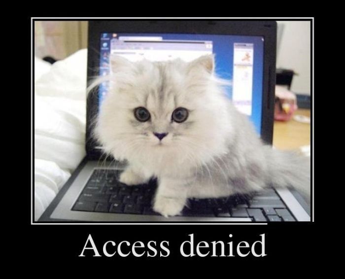 #92 - When Restrictions Are the Answer header image